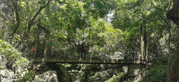 2022 茶叶博物馆 龙井山